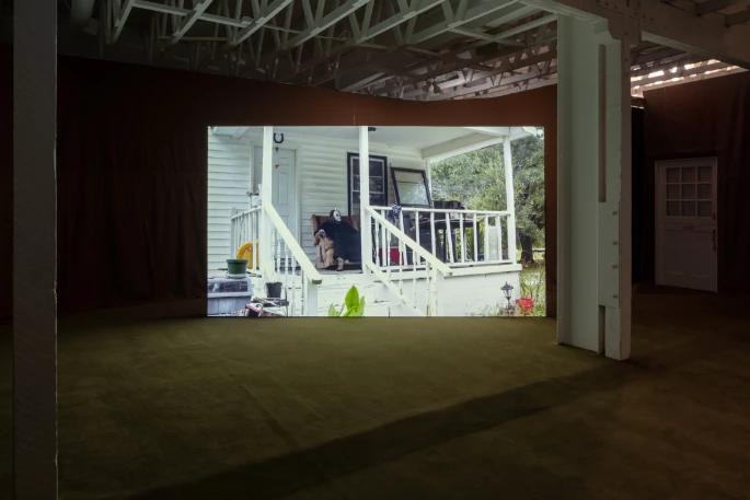 RODNEY MCMILLIAN, BROWN: VIDEOS FROM THE BLACK SHOWS